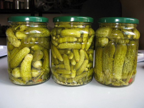 savanyítólé recept