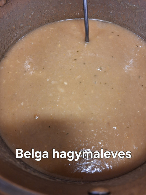 Belga hagymaleves
